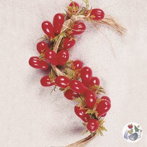 Tomatenzopf (Marzano)