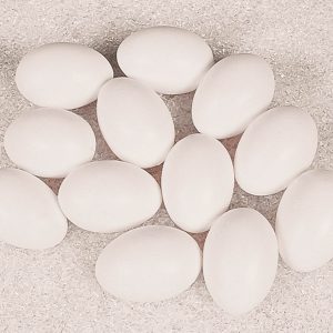 Weiße Eier