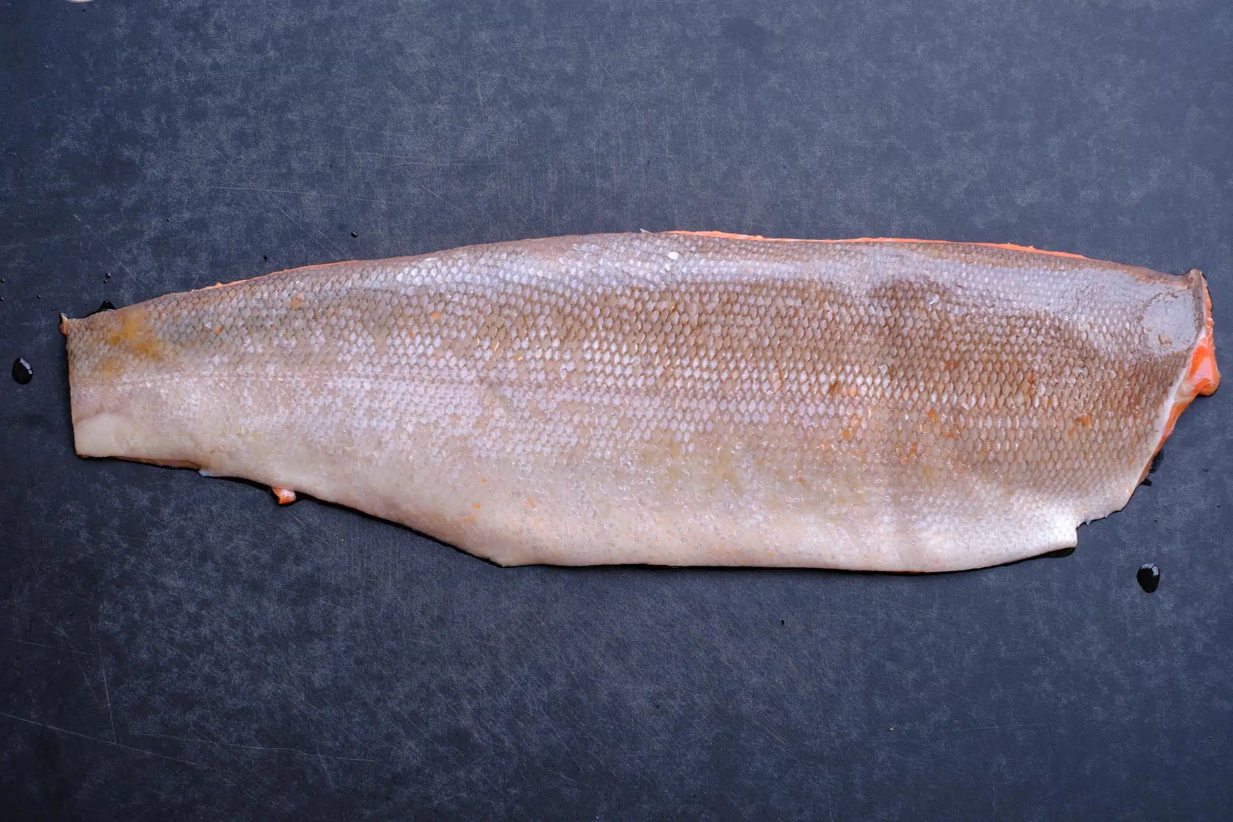Sockeye Wildlachs aus Kanada roh – Bild 2
